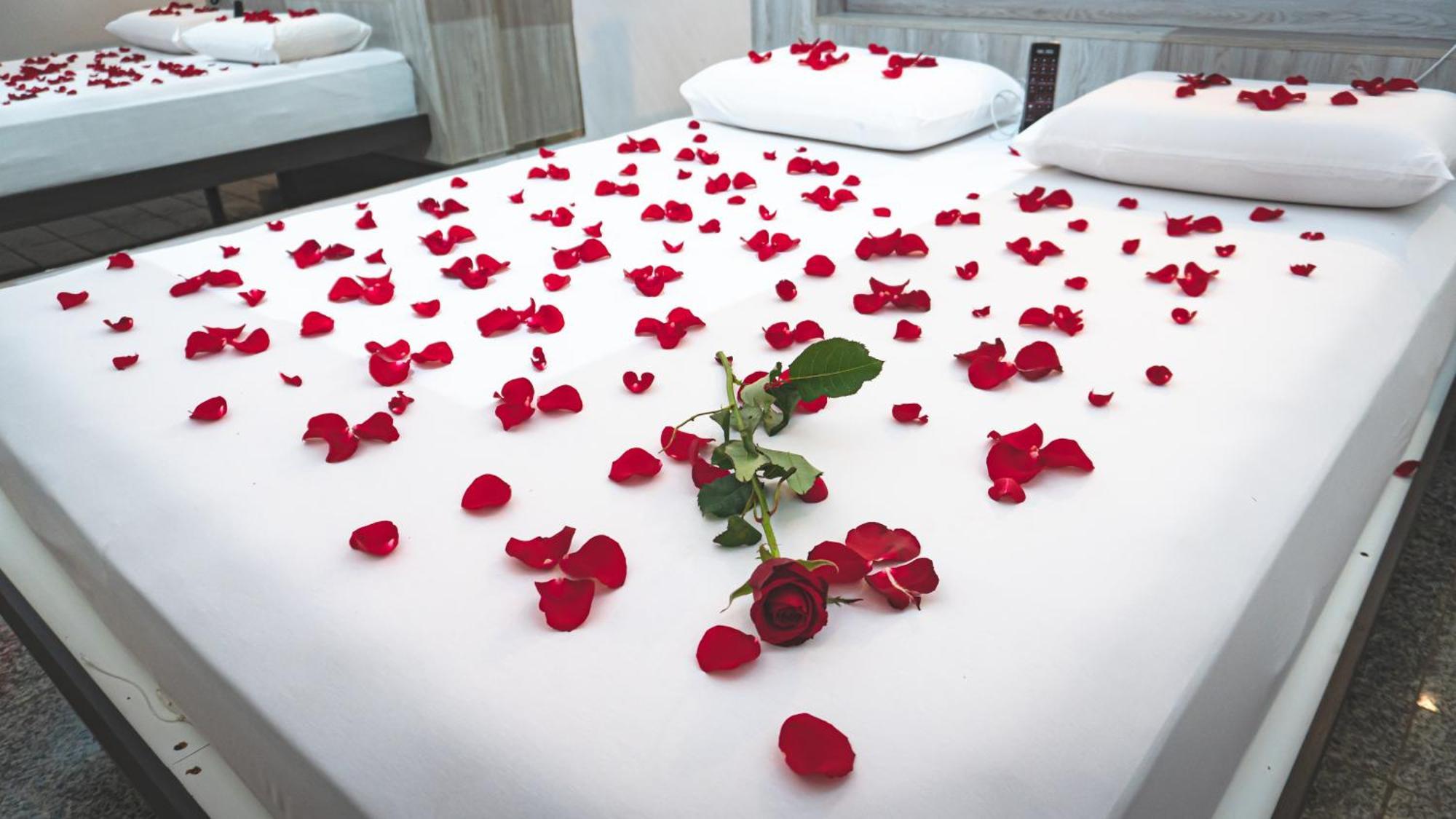 Paris Motel Matao Ngoại thất bức ảnh